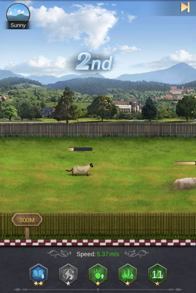 King's Choice Pet Race