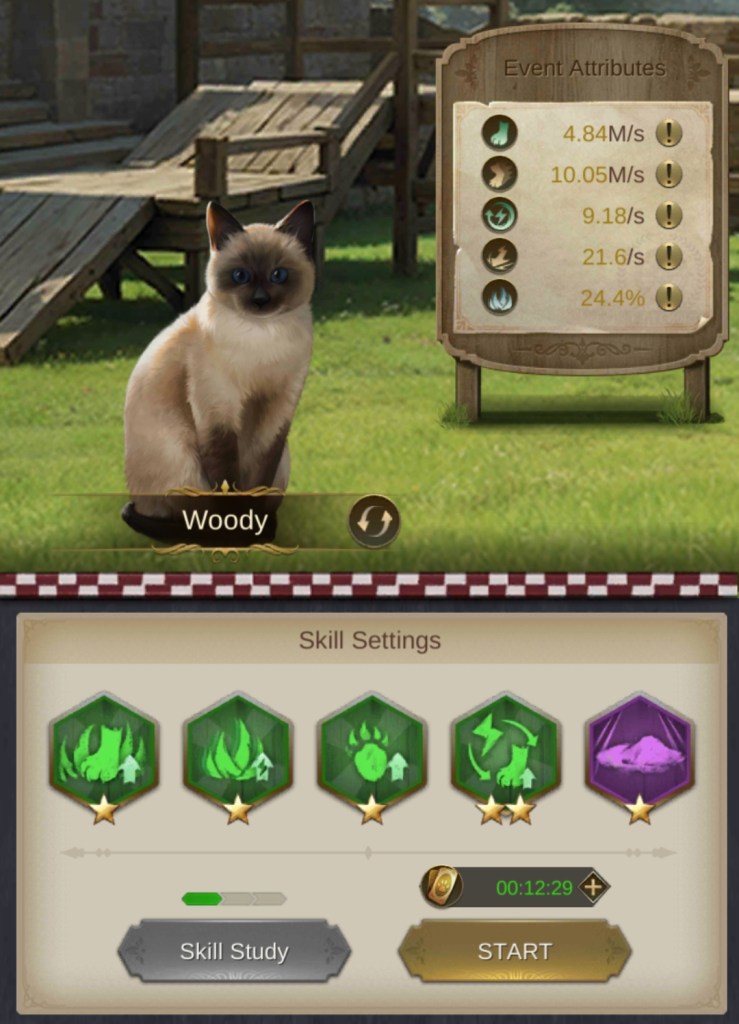 Selecting a Pet for the King's Choice Pet Race